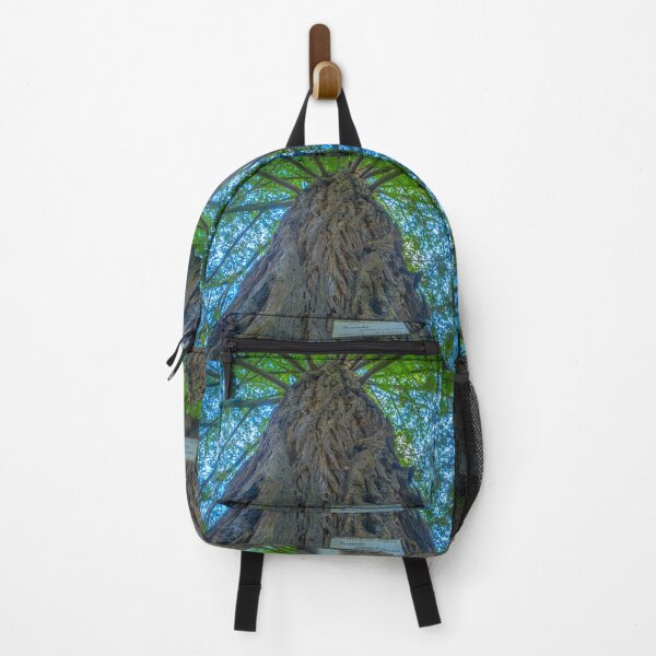Item preview, Californian Redwood Tree - Kyneton Botanical Gardens designed and sold by Steven Jodoin.