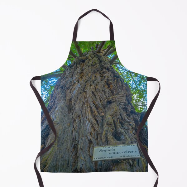 Item preview, Californian Redwood Tree - Kyneton Botanical Gardens designed and sold by Steven Jodoin.