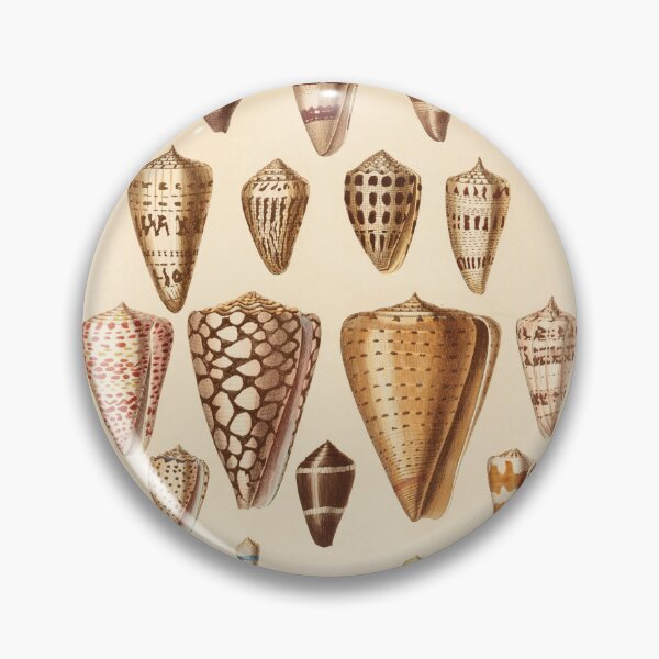 Item preview, Conchological Print: Shells designed and sold by Tridentulus.