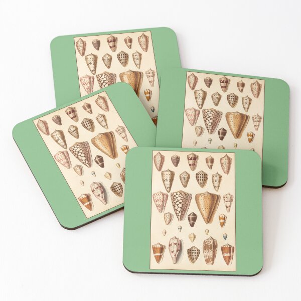 Item preview, Conchological Print: Shells designed and sold by Tridentulus.