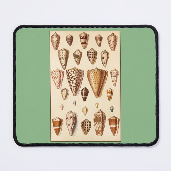 Item preview, Conchological Print: Shells designed and sold by Tridentulus.