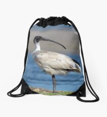 Australian White Ibis 06158 Drawstring Bag