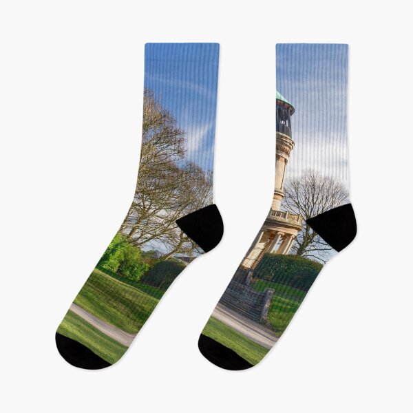 Item preview, Barnsley Locke Park  designed and sold by Alisonchambers2.