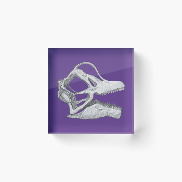 Item preview, Brachiosaurus skull  designed and sold by DoodleSnake58.