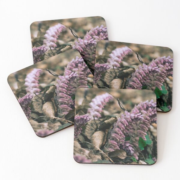 Item preview, Toothwort (Lathraea squamaria) Parasitic Spring Flower Growing in Forest Litter designed and sold by alicjamiekina.