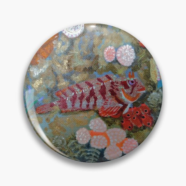 Item preview, Tompot blenny at Swanage pier designed and sold by mynature1.