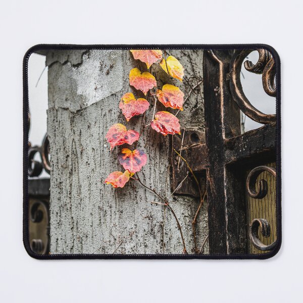 Item preview, Concrete and Metal Fence with Ivy designed and sold by Rabee Khalil Photography.