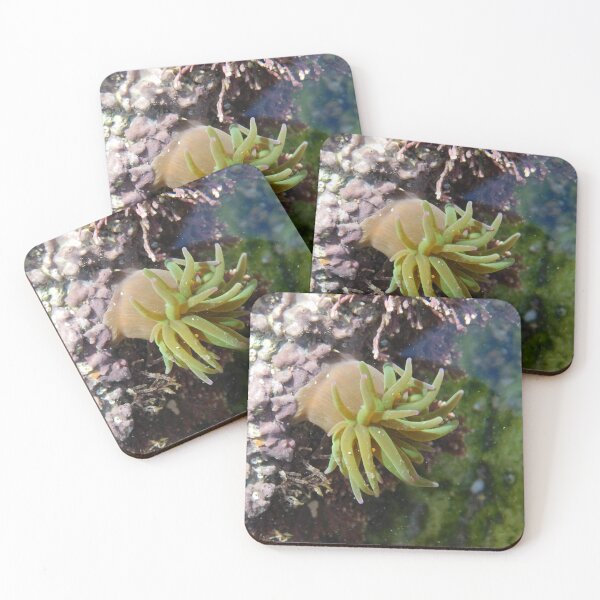 Item preview, Snakelocks anemone  designed and sold by mynature1.