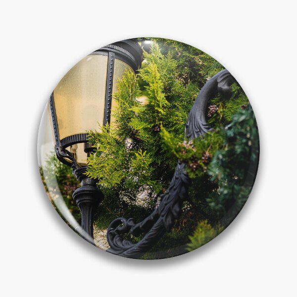 Item preview, Wrought Iron Street Lamp with Cypress Branches designed and sold by Rabee Khalil Photography.