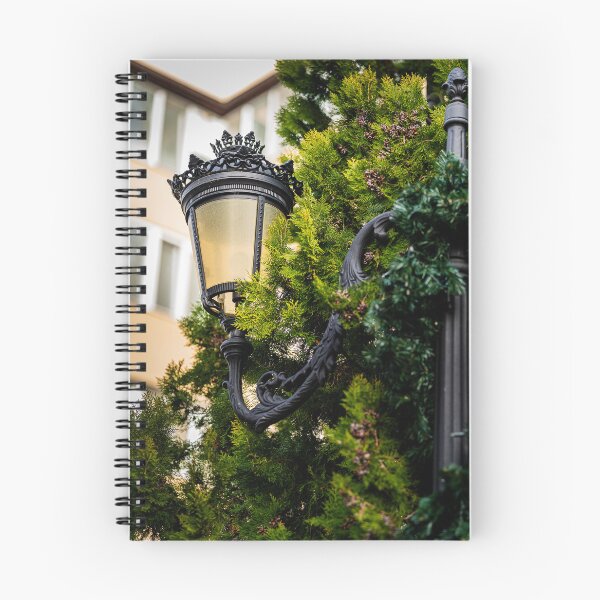 Item preview, Wrought Iron Street Lamp with Cypress Branches designed and sold by Rabee Khalil Photography.