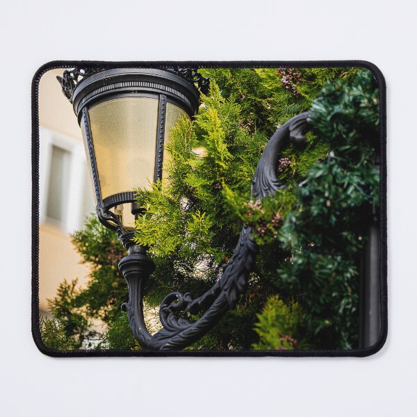 Item preview, Wrought Iron Street Lamp with Cypress Branches designed and sold by Rabee Khalil Photography.