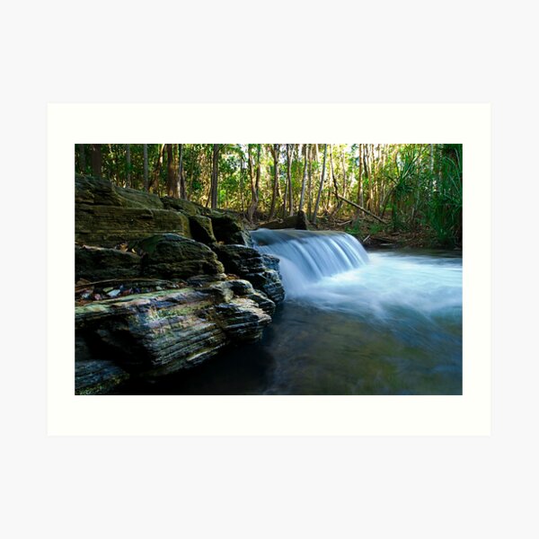 Berry Springs Art Print