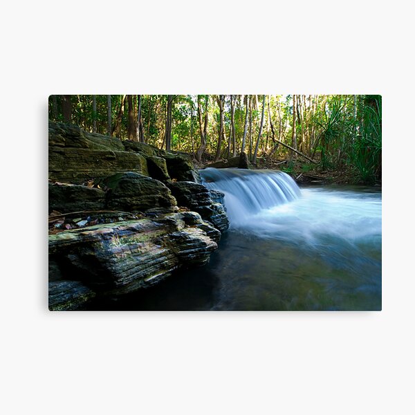 Berry Springs Canvas Print