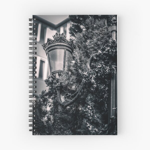 Item preview, Wrought Iron Street Lamp with Cypress Branches in Black and White designed and sold by Rabee Khalil Photography.
