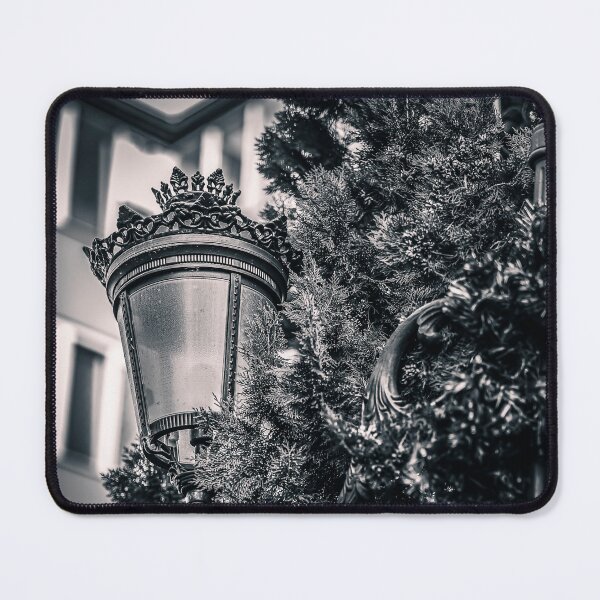 Item preview, Wrought Iron Street Lamp with Cypress Branches in Black and White designed and sold by Rabee Khalil Photography.