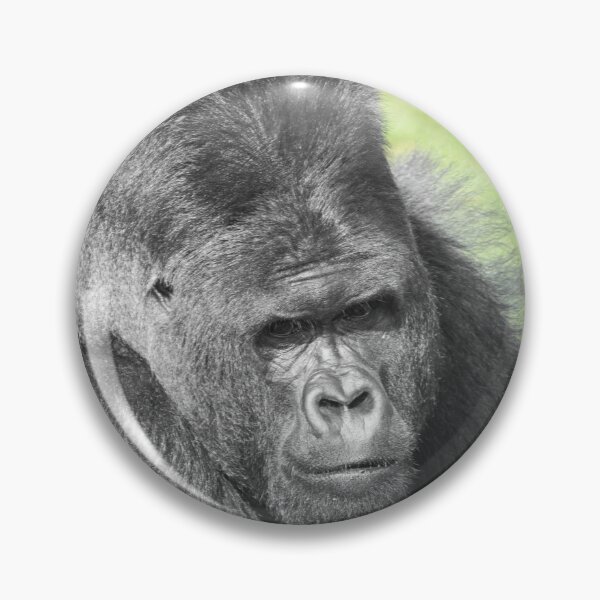 Item preview, Silverback se lleva el protagonismo designed and sold by rawshutterbug.