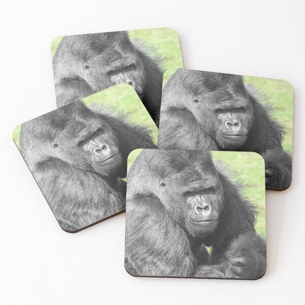 Item preview, Silverback Takes the Spotlight designed and sold by rawshutterbug.