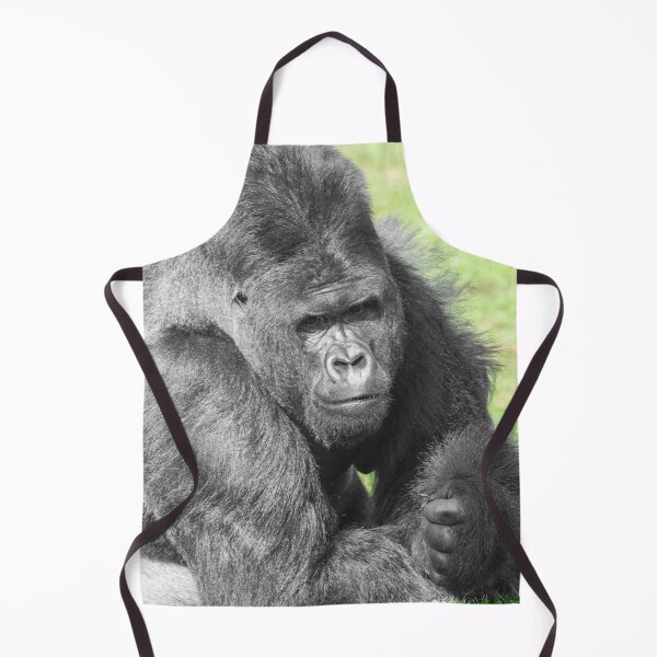 Item preview, Silverback Takes the Spotlight designed and sold by rawshutterbug.