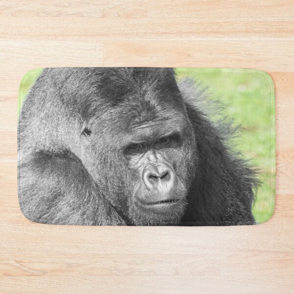 Item preview, Silverback Takes the Spotlight designed and sold by rawshutterbug.