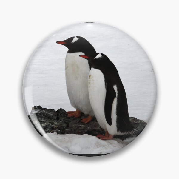 Item preview, Gentoo Penguin Couple looking left (Black Background) designed and sold by SBPenguins.