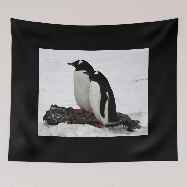 Item preview, Gentoo Penguin Couple looking left (Black Background) designed and sold by SBPenguins.