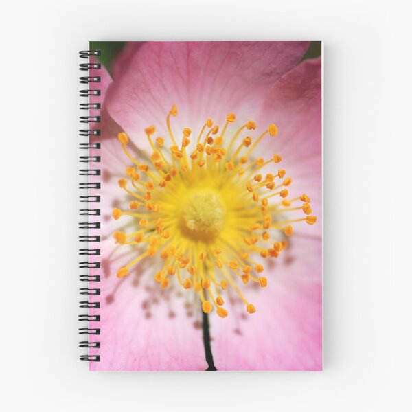 Item preview, Pink beauty designed and sold by MilanMKM.