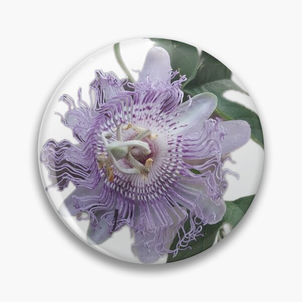 Item preview, Passion Flower Bloom — Purple & White Blossom on Green Vine designed and sold by tracerammo1.