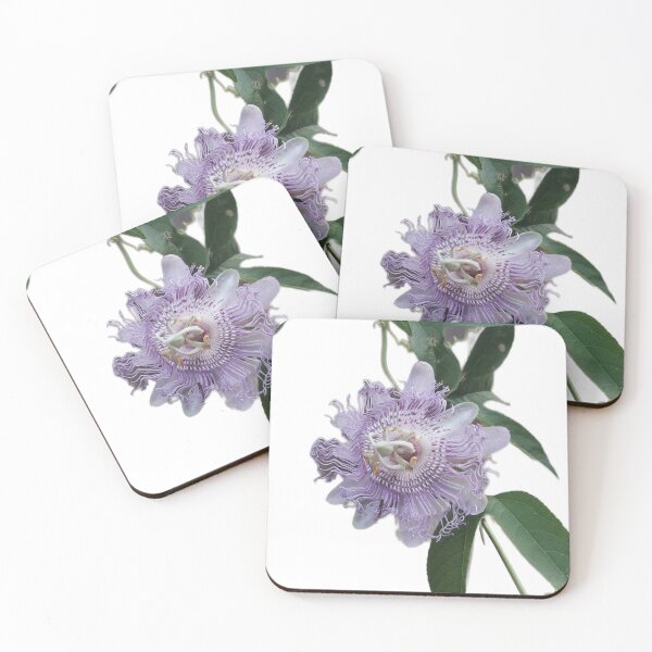 Item preview, Passion Flower Bloom — Purple & White Blossom on Green Vine designed and sold by tracerammo1.