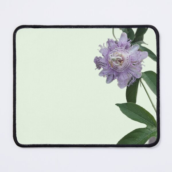 Item preview, Passion Flower Bloom — Purple & White Blossom on Green Vine designed and sold by tracerammo1.