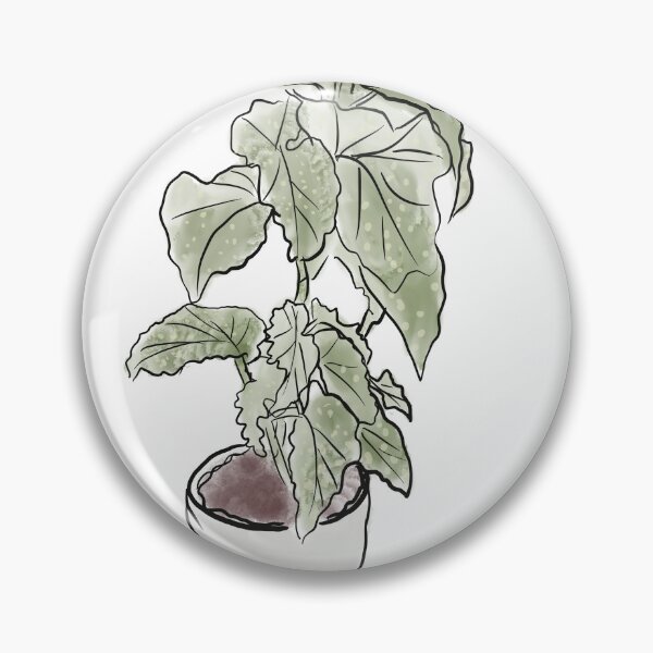 Item preview, Begonia Plants Doodles designed and sold by Dreambigdigital.