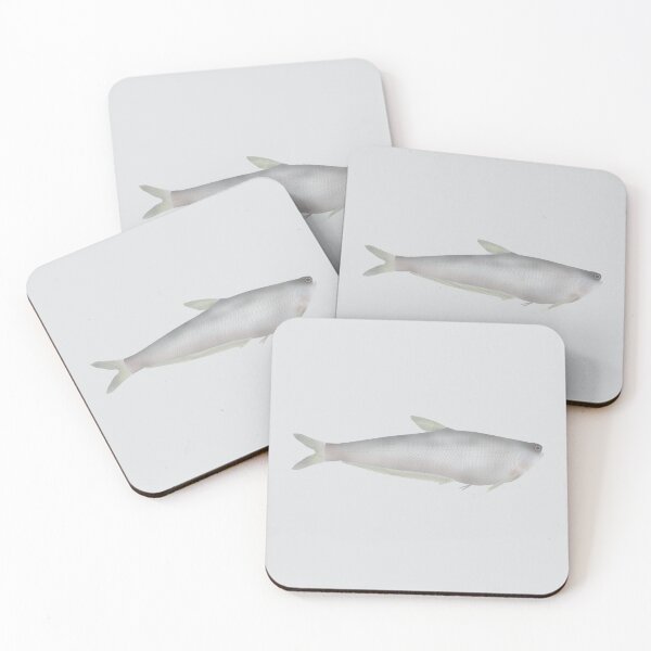 Item preview, Gangetic Hairfin Anchovy designed and sold by fishfolkart.