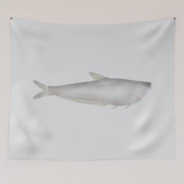 Item preview, Gangetic Hairfin Anchovy designed and sold by fishfolkart.