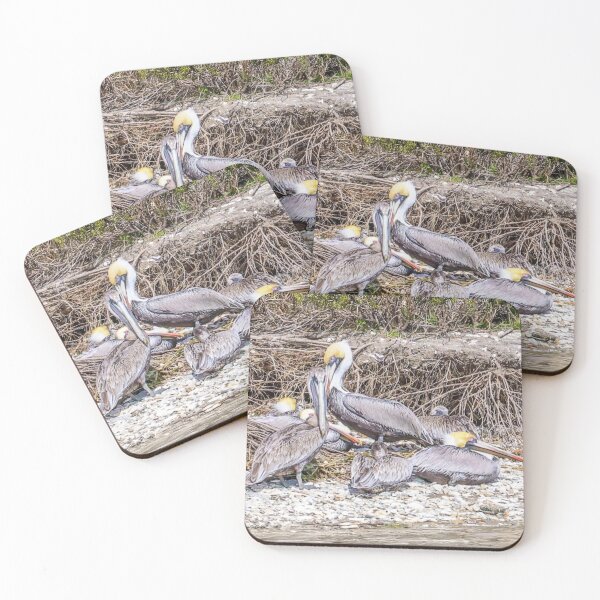 Item preview, South Carolina Pelican Family  designed and sold by MBGSL DESIGNS .