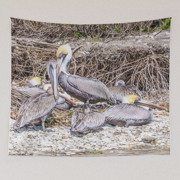 Item preview, South Carolina Pelican Family  designed and sold by MBGSL DESIGNS .