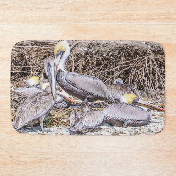 Item preview, South Carolina Pelican Family  designed and sold by MBGSL DESIGNS .