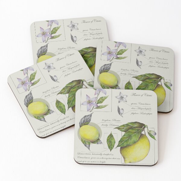 Item preview, Lemon botanical illustration in vintage style designed and sold by Art_By_Wing.