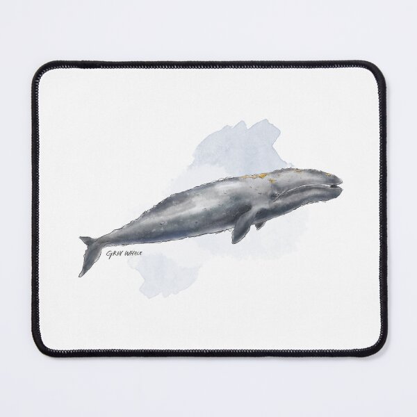 Item preview, Gray Whale illustration  designed and sold by GennyOnThePaper.