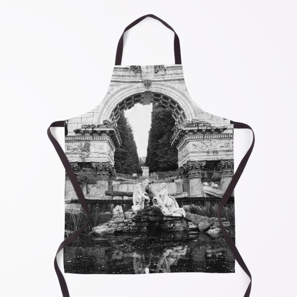Item preview, Roman Ruin. Schonbrunn Palace Park bw designed and sold by Jouko Lehto Photography.