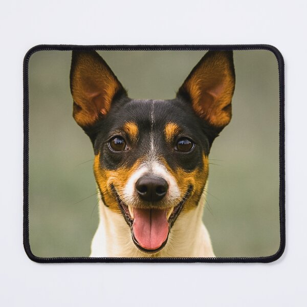 Item preview, Rat Dog designed and sold by BackgroundND.