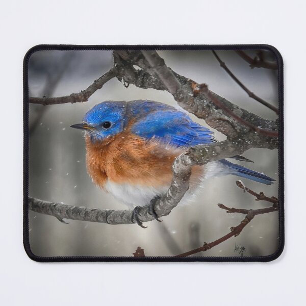Item preview, A Bluebird In The Blizzard designed and sold by Lois Bryan.