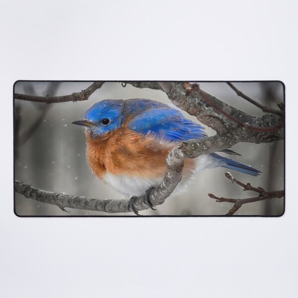 Item preview, A Bluebird In The Blizzard designed and sold by Lois Bryan.