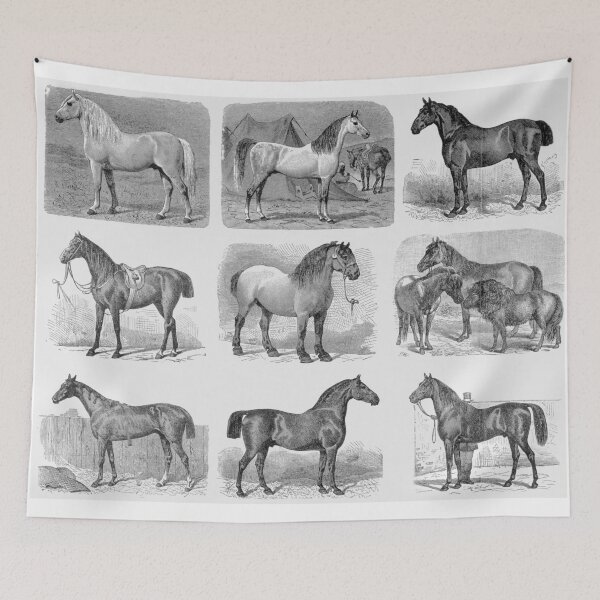 Aperçu de l'œuvre Chevaux Vintage créée et vendue par Epic Splash Creations.