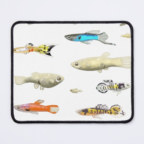 Item preview, Endler Guppies designed and sold by Adrian-Falke.