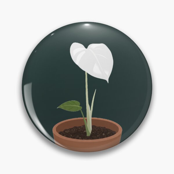 Item preview, Monstera Albo & A Pot designed and sold by DeletedByDesign.