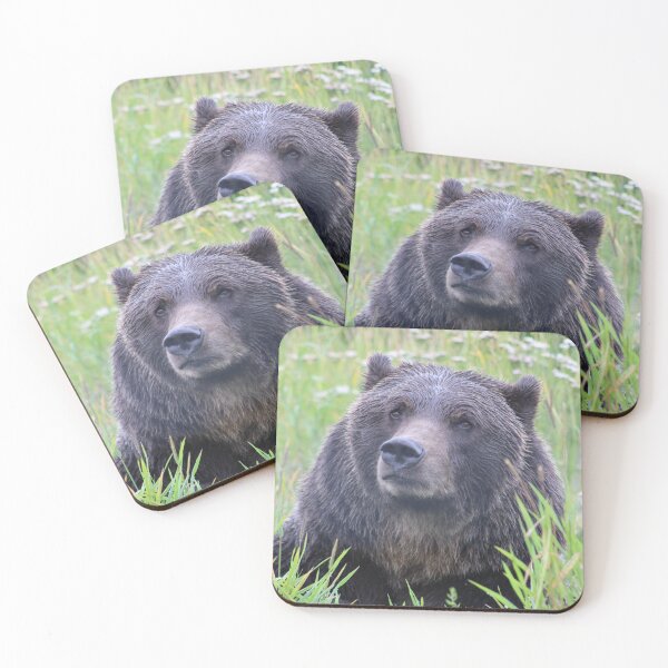 Item preview, Bear photography designed and sold by Iwearthecheeseitdoesnotwearme.
