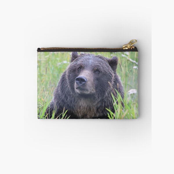 Item preview, Bear photography designed and sold by Iwearthecheeseitdoesnotwearme.