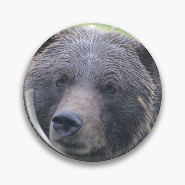 Item preview, Bear photography designed and sold by Iwearthecheeseitdoesnotwearme.