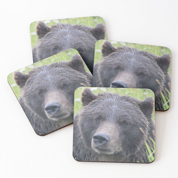Item preview, Bear photography designed and sold by Iwearthecheeseitdoesnotwearme.