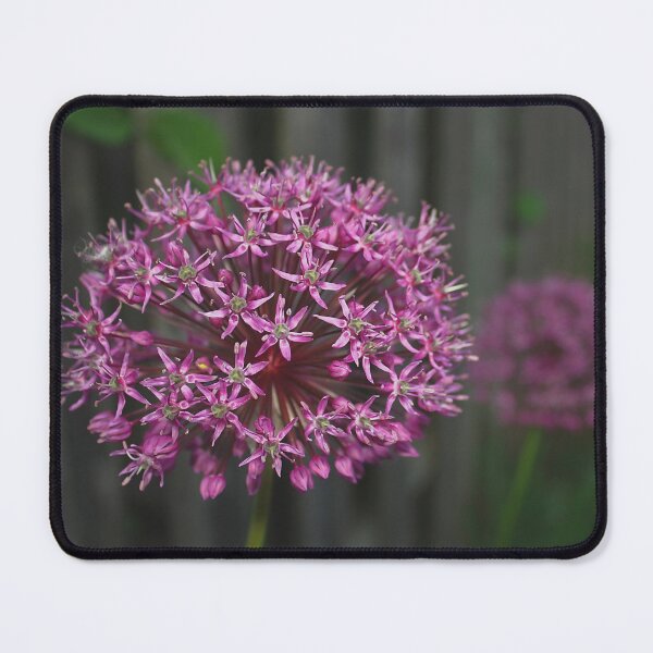 Item preview, Garlic flowers from the garden designed and sold by Production Art Manon Meilleur.