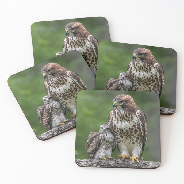 Item preview, Animal Baby Series, Red Tailed Hawk designed and sold by FullSurrender.